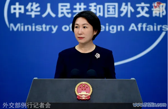 “俄好意思峰会，中国被说起为乌克兰安全的潜在保险者之一”，酬酢部复兴